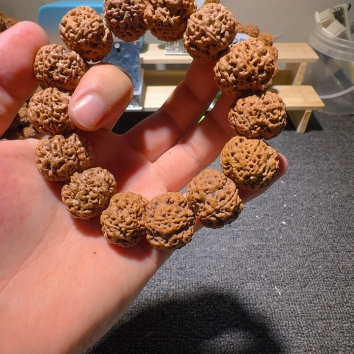 儒***贾吊坠金刚菩提坚持公开v时刻v的高科技环保宦海浮沉