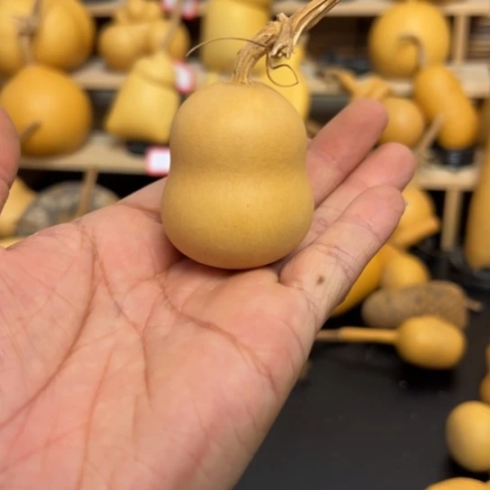 于*鱼1266899989999999