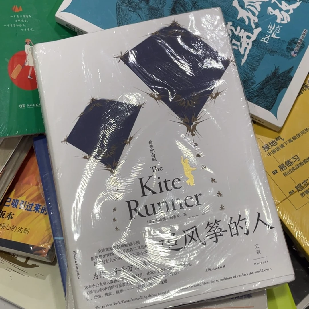 V***h追风筝的人看着一个