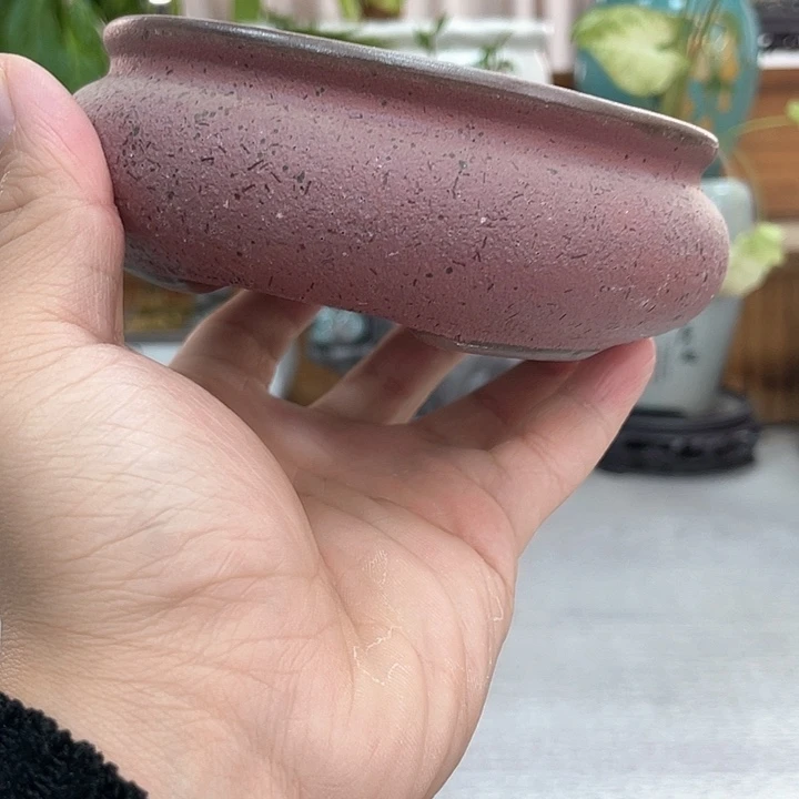 陶瓷花盆抢购福利紫砂花盆
