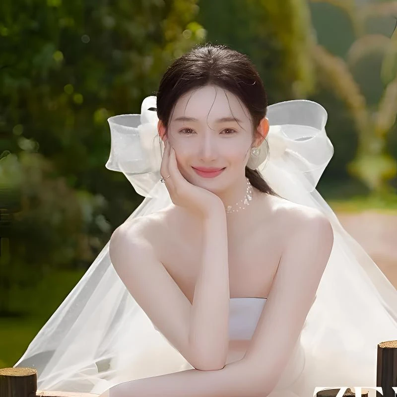 新款弹力网蝴蝶结头纱超仙法式高级新娘结婚头纱拍摄跟妆造型头饰