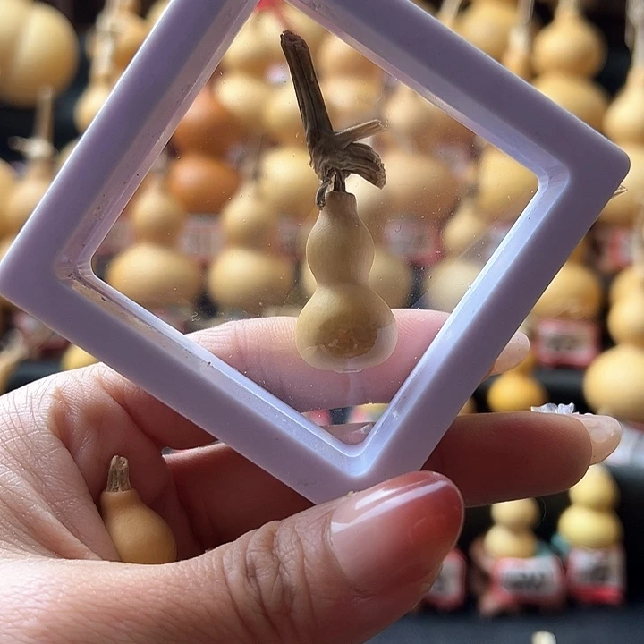 笑****?天然葫芦葫芦葫芦葫芦