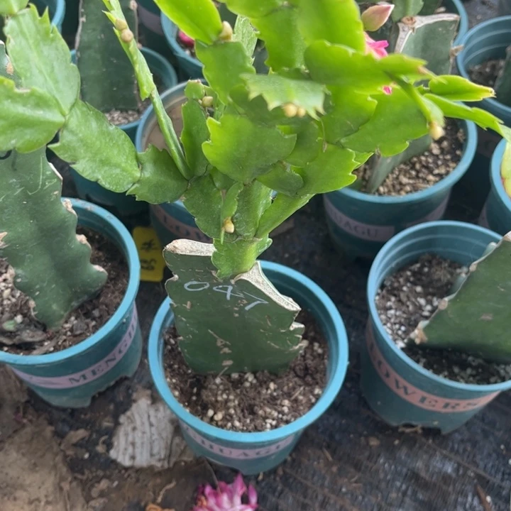 方***间22号047，0000000000