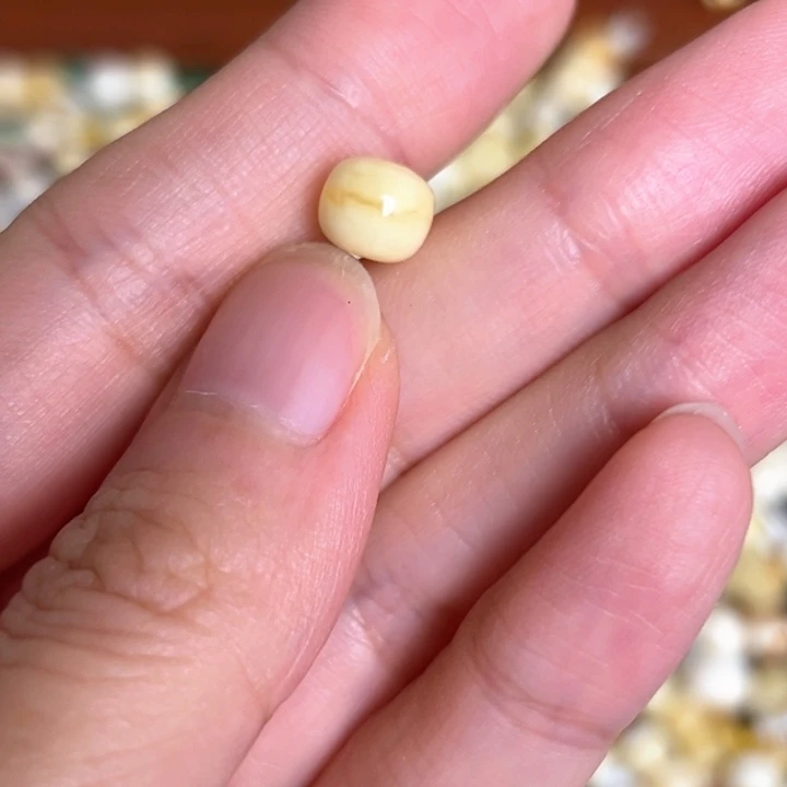 未镶嵌蜜蜡裸石7.5mm一个