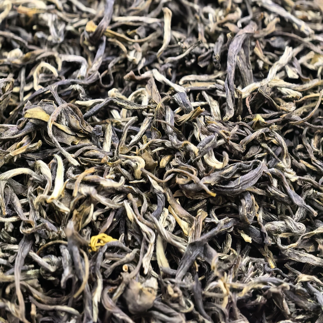 2025年新茶茉莉花茶小龙毫福鼎大毫茶胚花香入水久泡不苦耐泡回甘