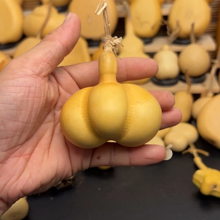 乐***芦22336666655555599