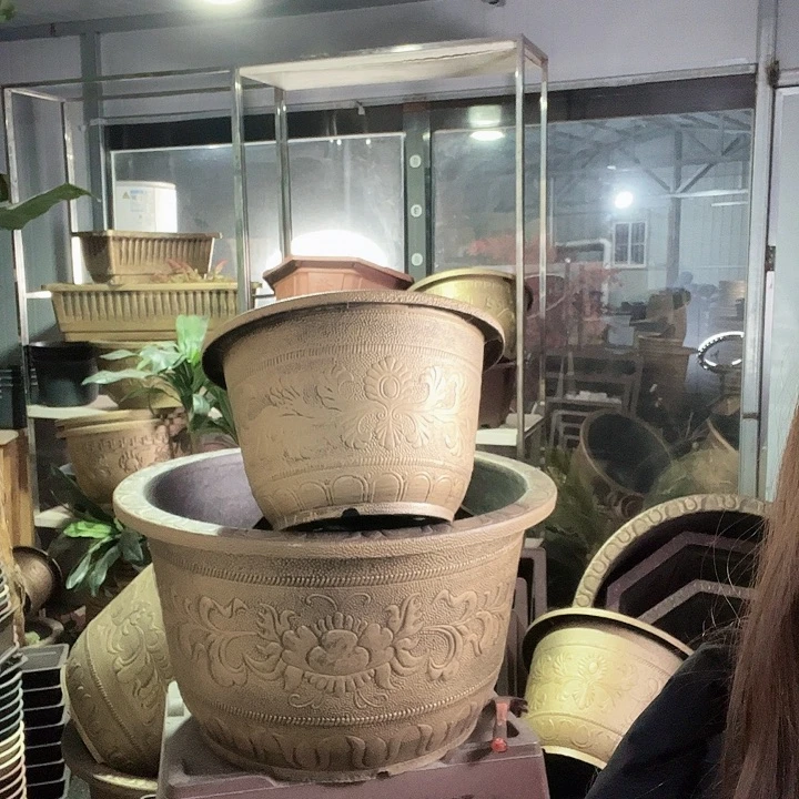 圆圆50十个有孔的的