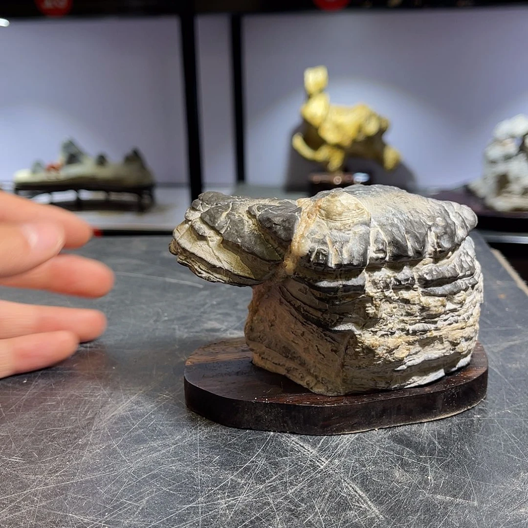 紫砂偏远地区不包邮