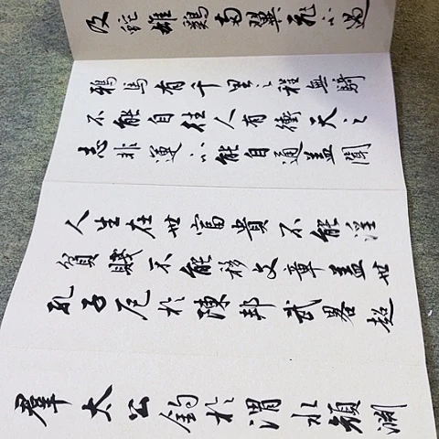 用***9扇子寒窑赋行书册页作品