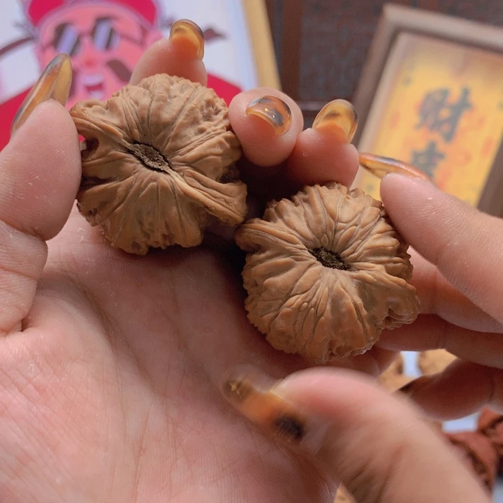 文玩核桃把件东**蒙41狮子
