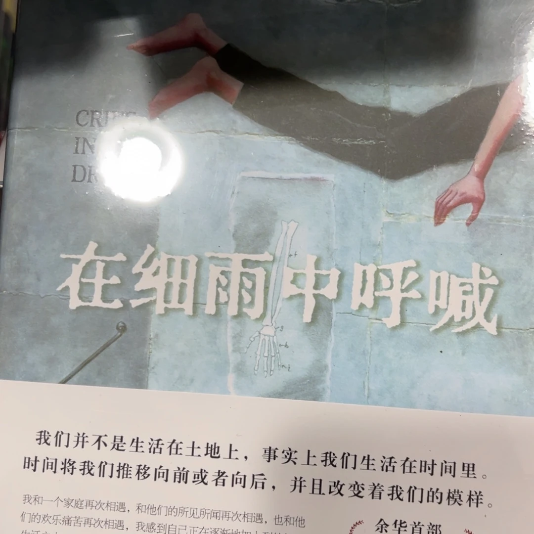 在细雨中呼喊精装一个