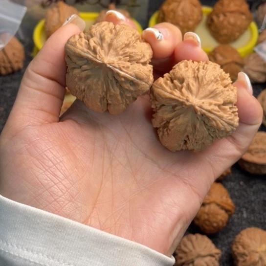 文玩核桃吊坠4霸王龙