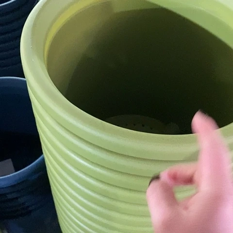 树脂四季7号果绿无托6个