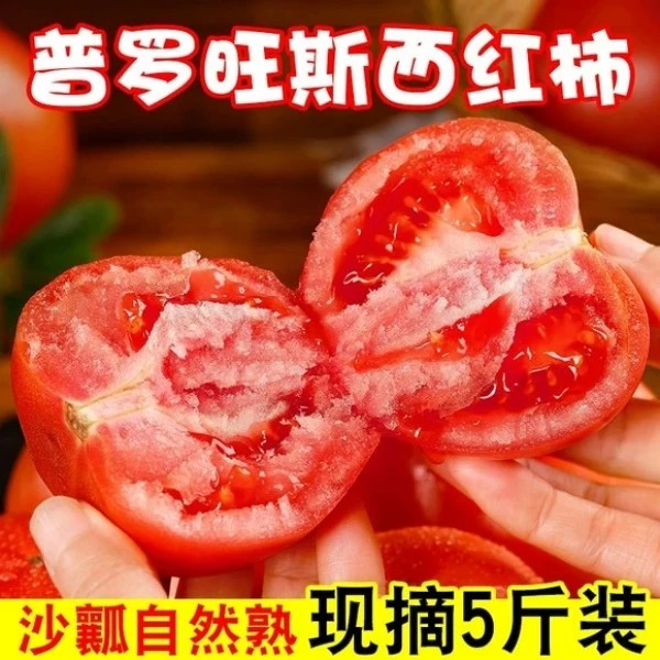 【京东次日达】新鲜大果普罗旺斯水果番茄沙瓤多汁新鲜5斤江苏省江苏省