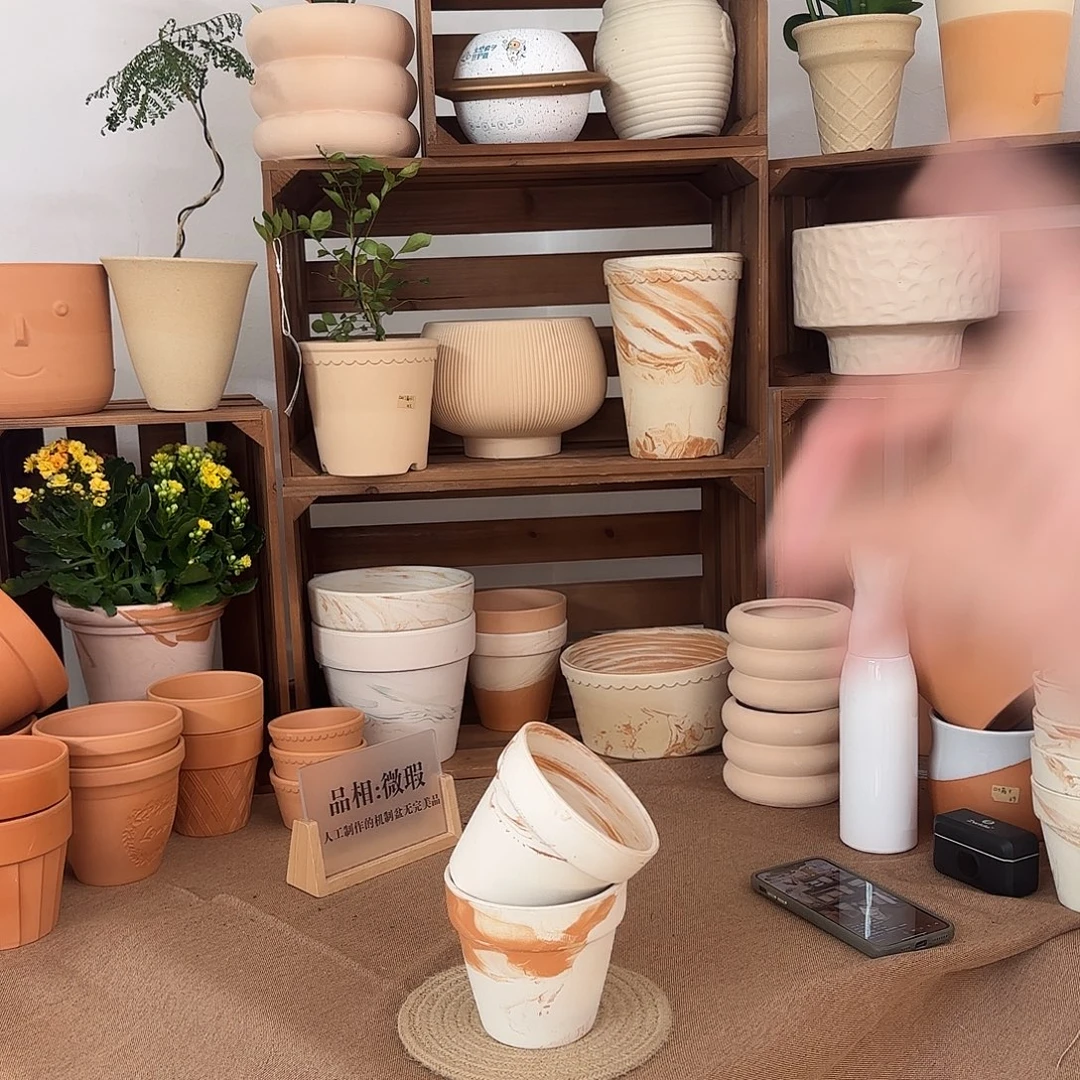 微瑕橘里橘气标准国际盆12口10高2个