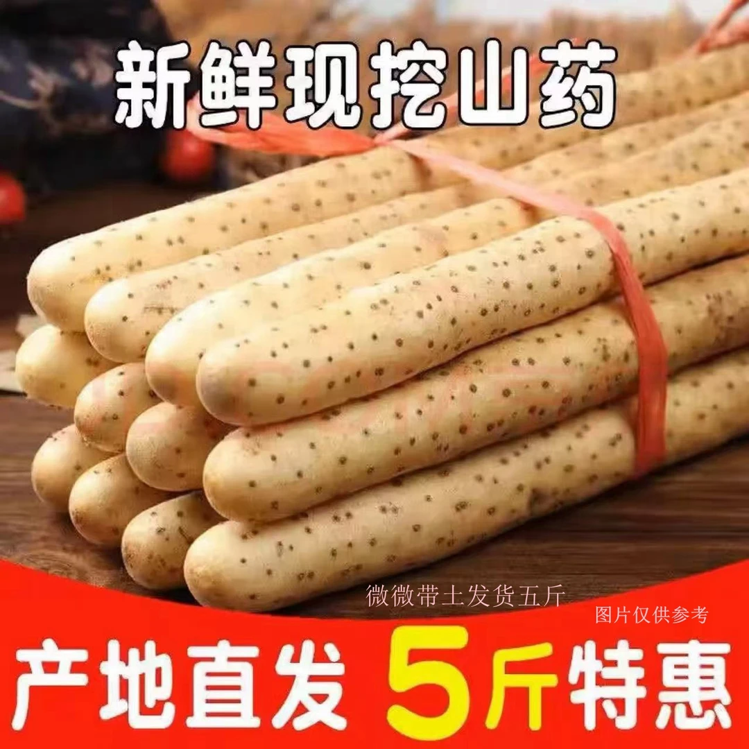 铁棍山药软糯香甜产地直发生鲜蔬菜宝宝辅食带土30-50