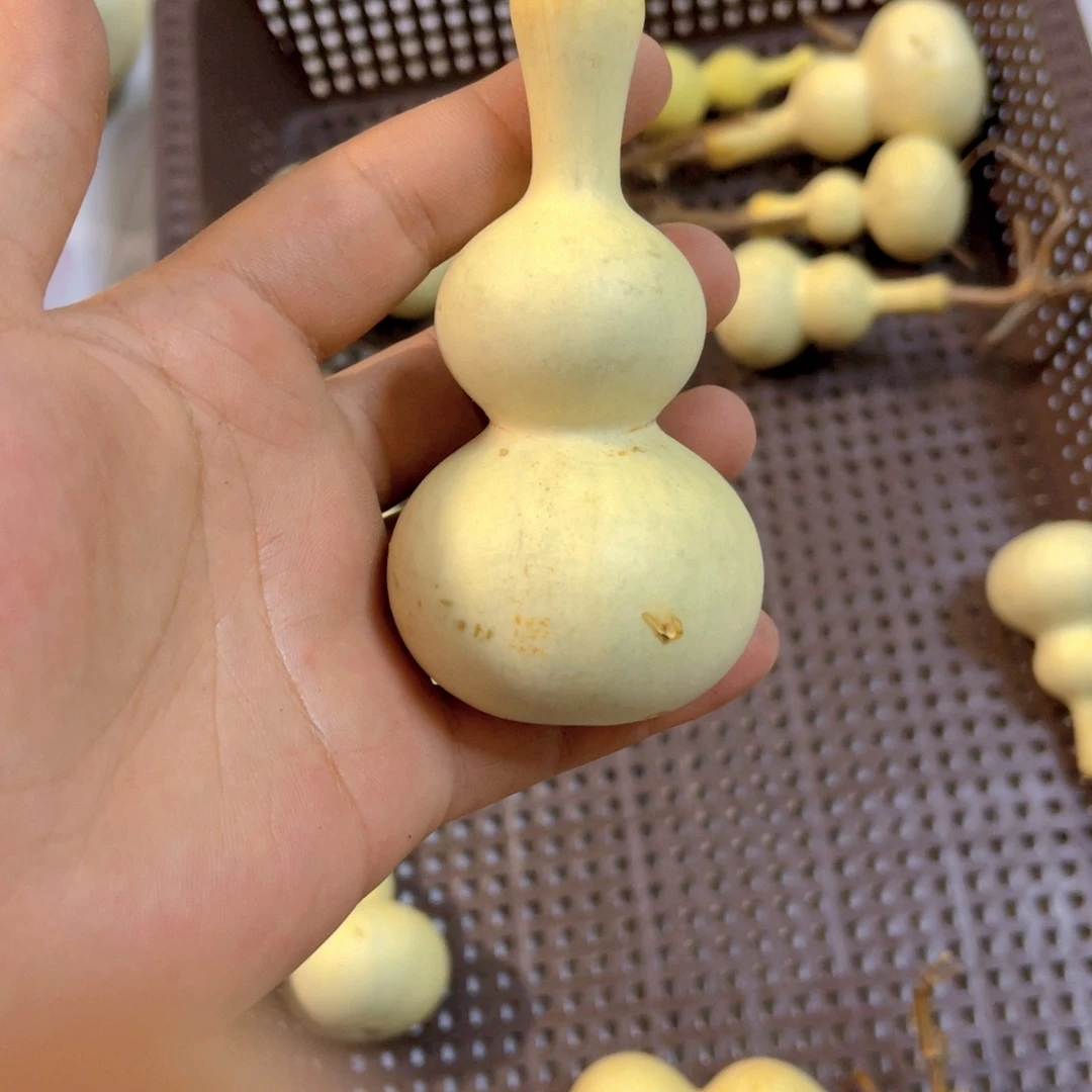 老***粉感谢大哥支持兄弟，不保