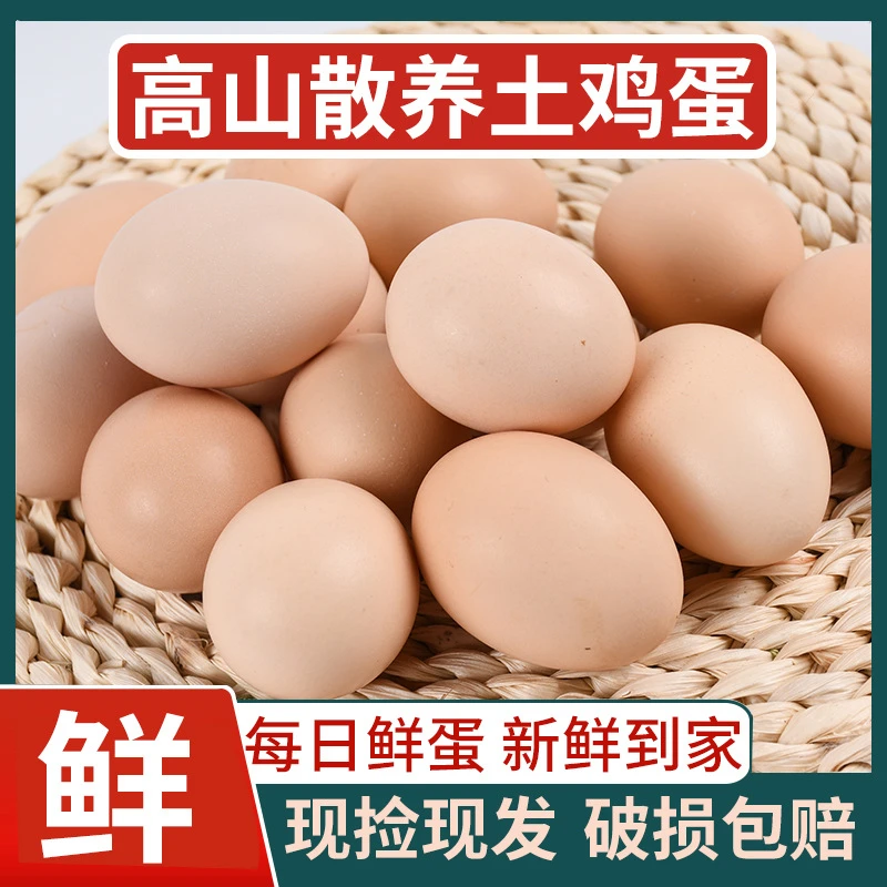 红旗渠畔林地散养土鸡蛋
