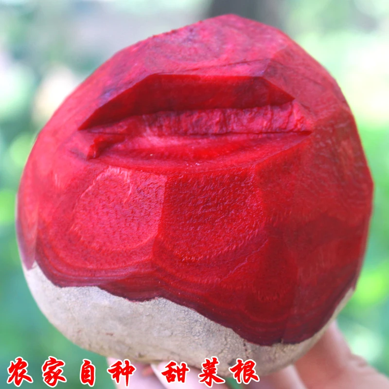 新鲜甜菜根现挖甜菜头紫皮红心榨汁凉拌紫菜头农家自种水果蔬菜