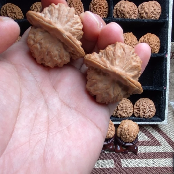 全品小众图图43尺寸