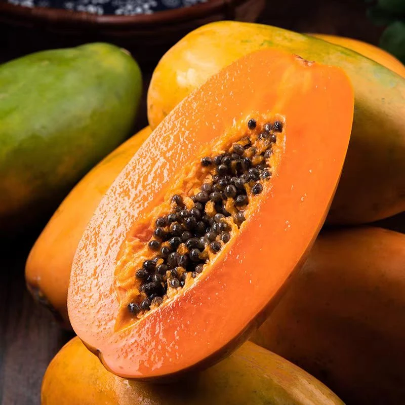 【蓝小甜】海南红心木瓜4.5斤 约2-4个装