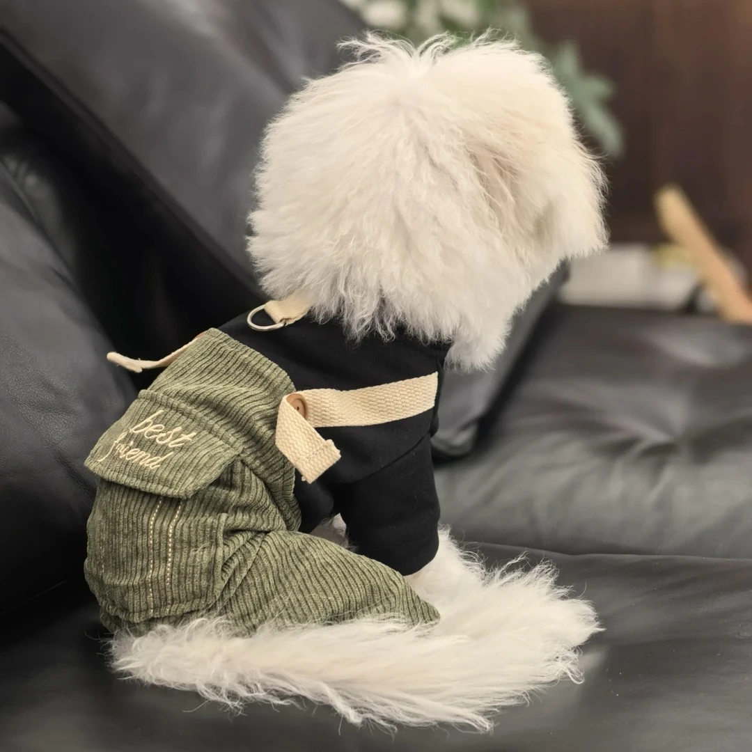 宠物猫猫小狗衣服比熊小型犬春秋款雪纳瑞泰迪博美狗狗衣服四脚衣