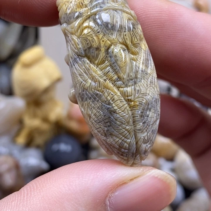 硅化珊瑚（珊瑚玉）未镶嵌颈饰