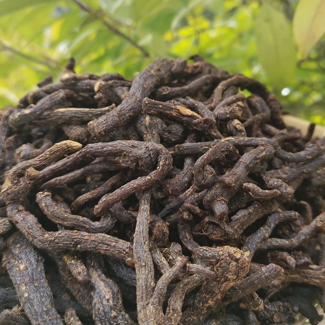 【村民代卖】大巴山 九蒸九晒 野生玉竹