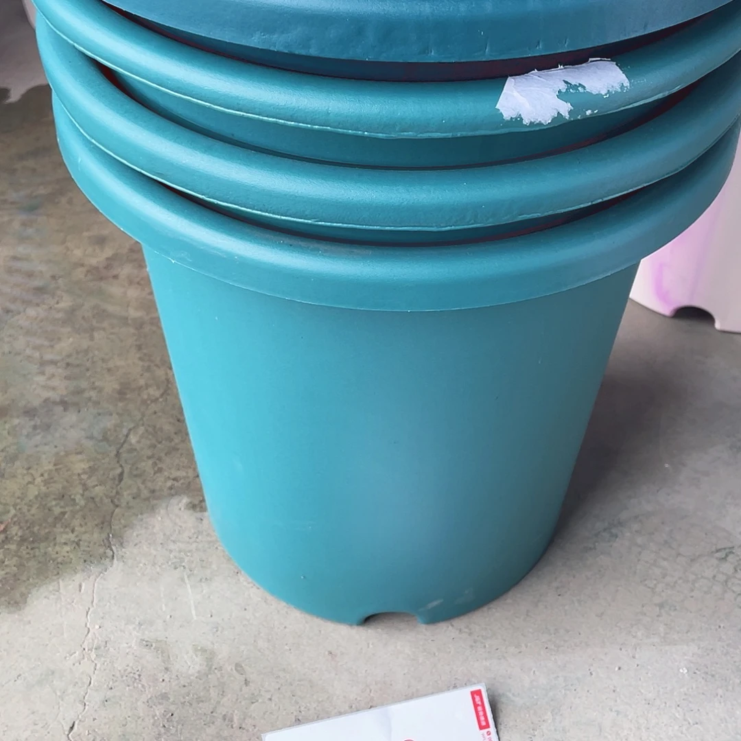 编号是082号的082号的