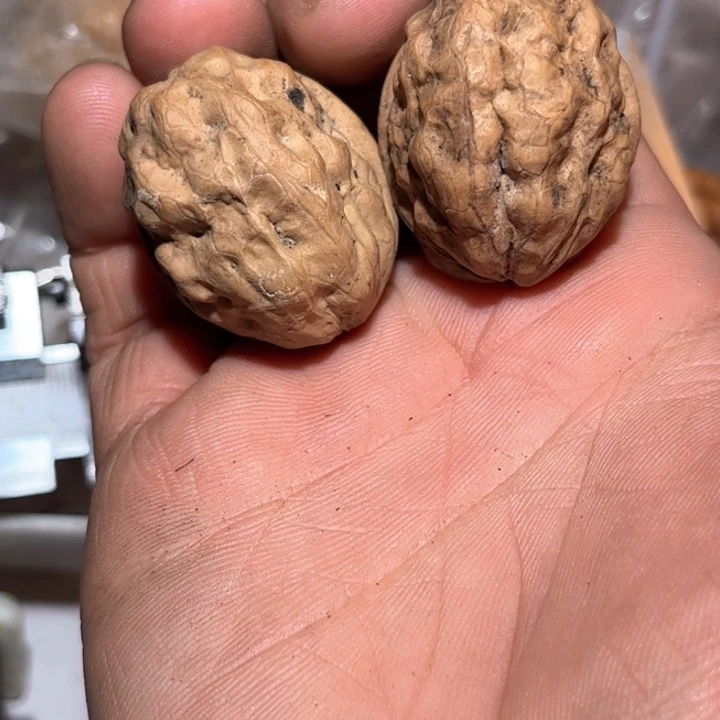 文玩核桃吊坠滇西28