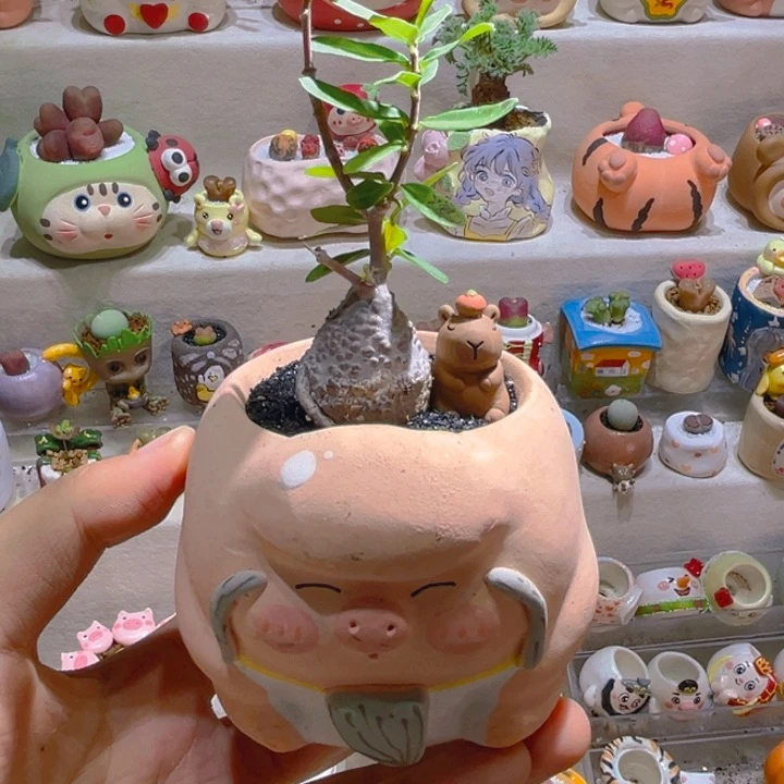 091火星人带盆土一套88