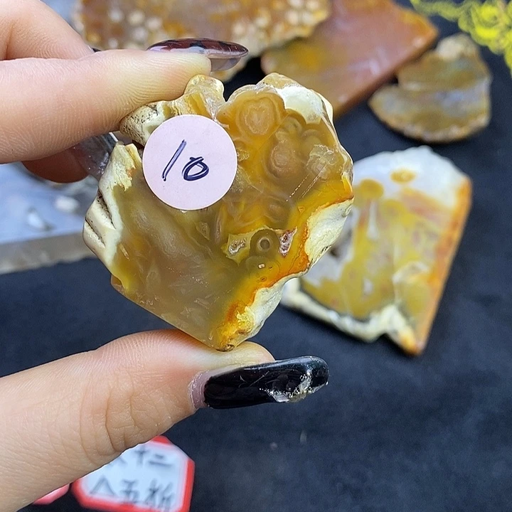 硅化玉未镶嵌颈饰