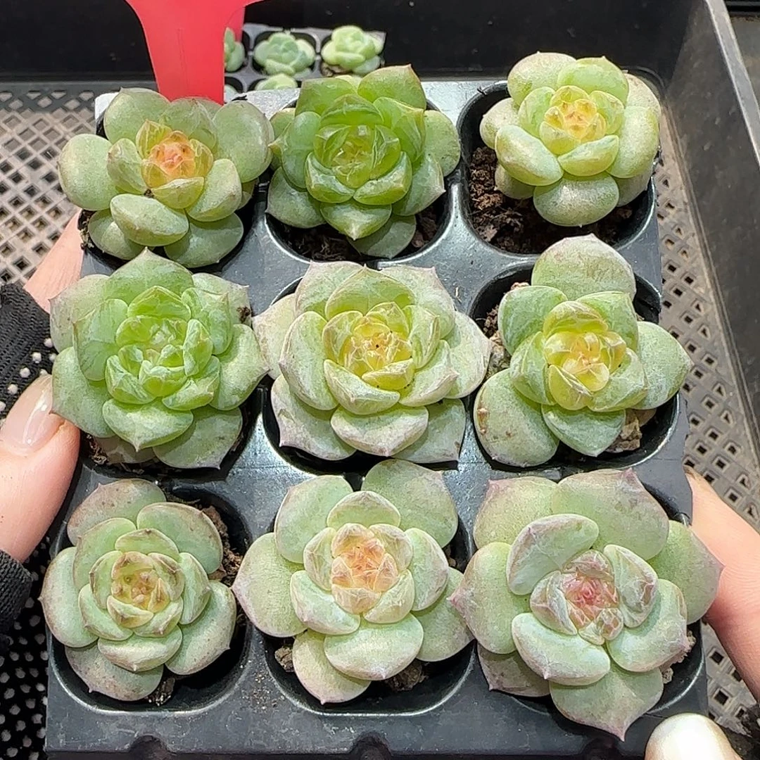 124哈哈哈哈哈哈哈哈