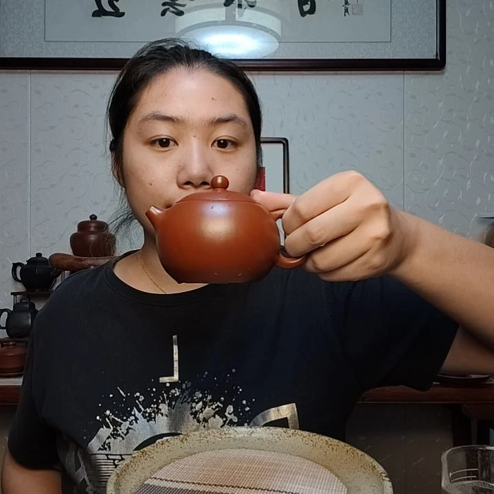 茶壶朱泥西施200
