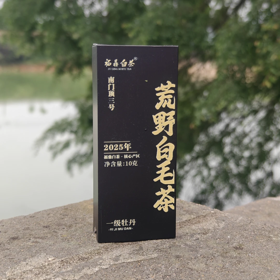 「白茶玩家」 2025年南门顶三号 磻溪湖林荒野白毛茶 两泡品鉴装
