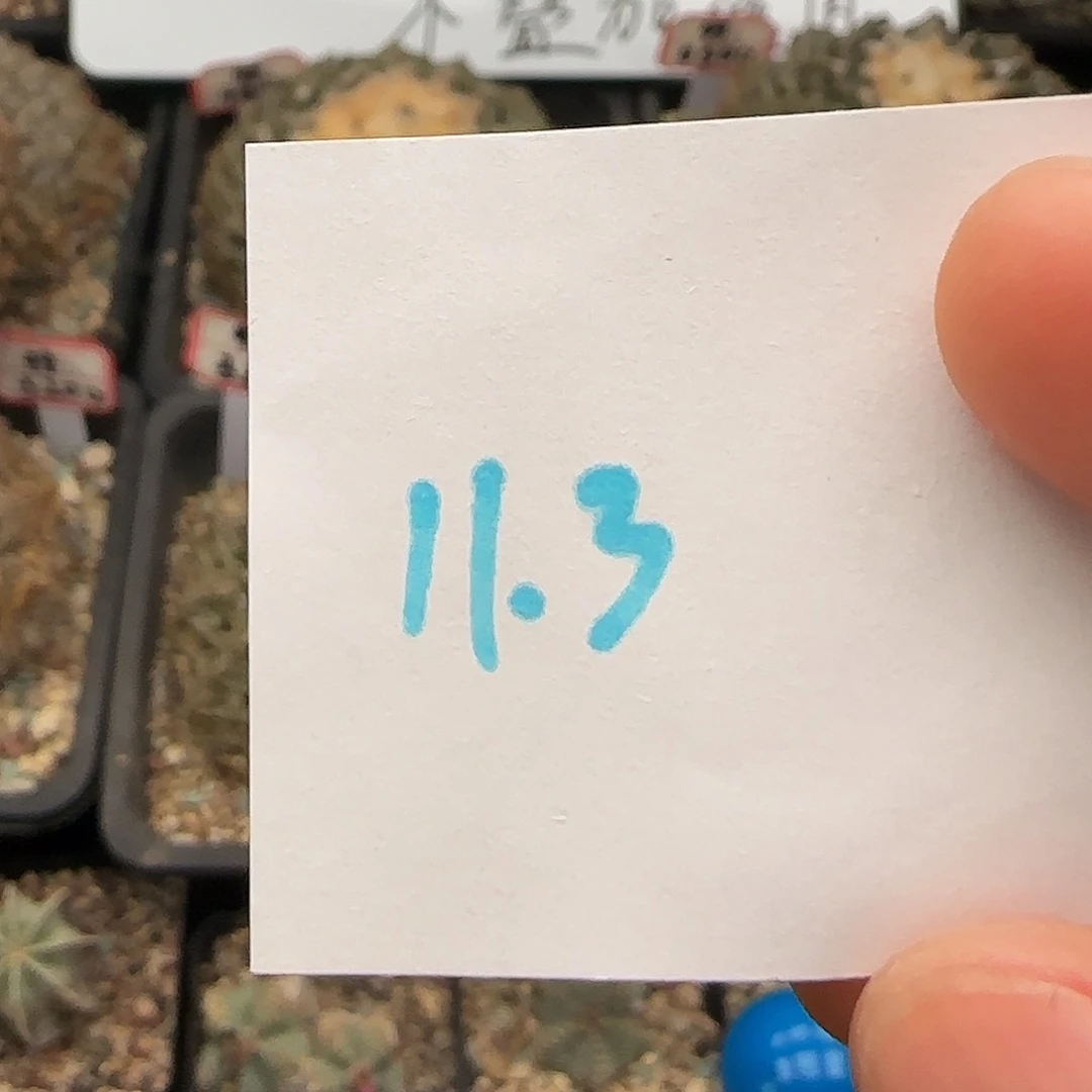 11.3优惠卷111111111111111