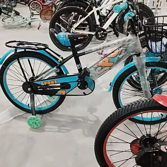 塑料蓝色20尺寸自行车