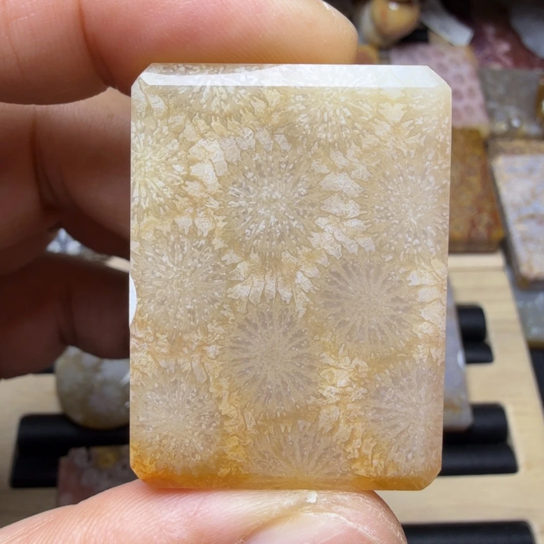 硅化玉未镶嵌纯天然色有机玉石保真色