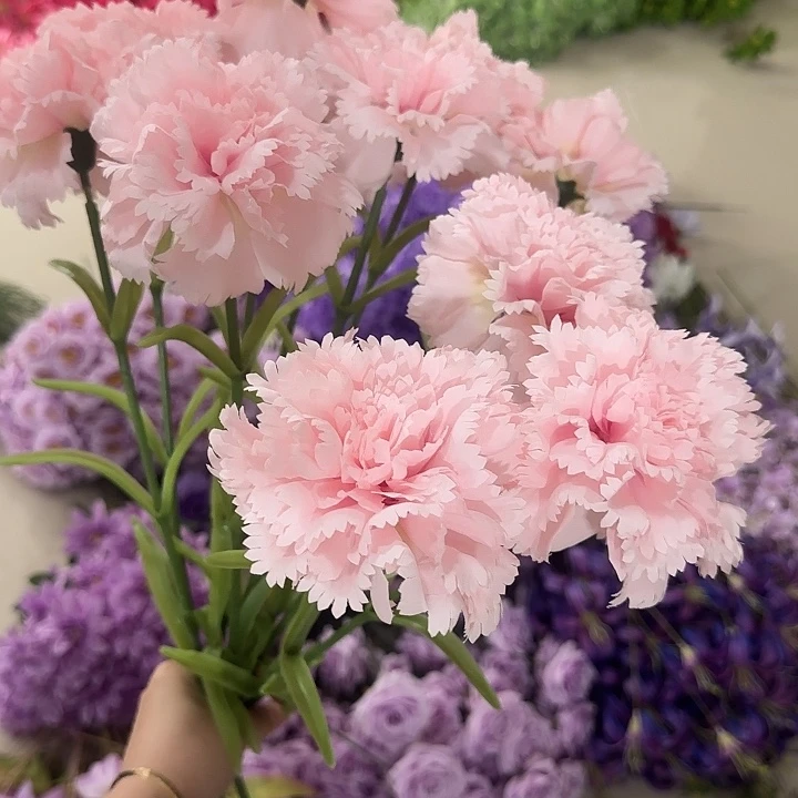 单支粉色康乃馨 20支