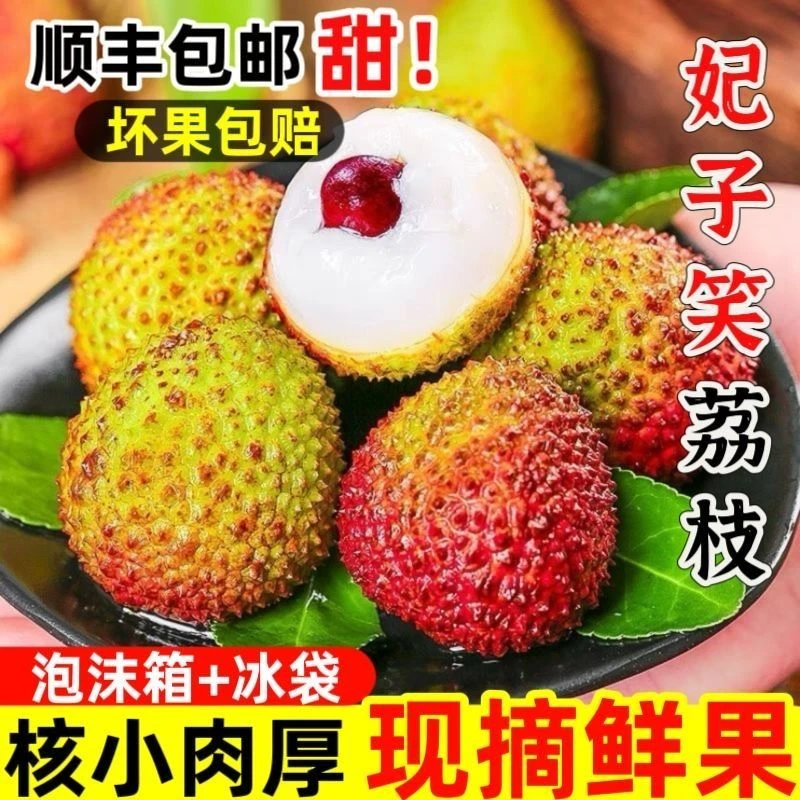 【顺丰冷链】广东妃子笑荔枝新鲜现摘现发当季水果鲜甜爆汁顺丰到家