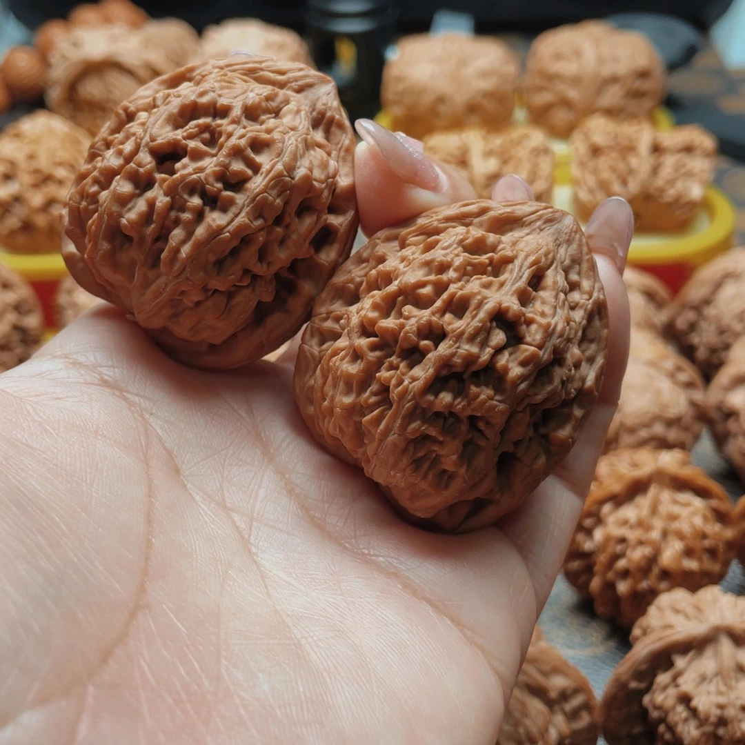 桃核把件39蚂蚁王全品