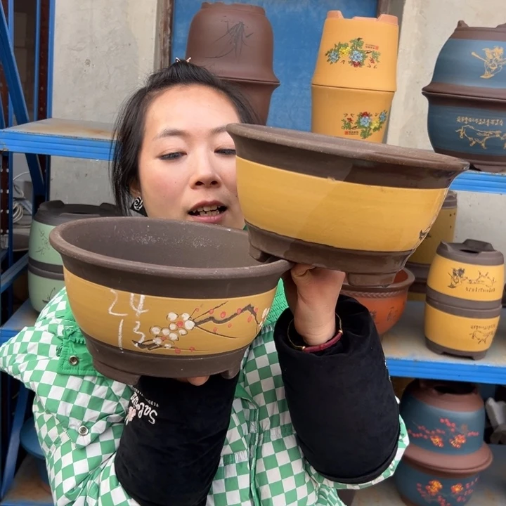 黄富贵点菜中一对花盆花盆