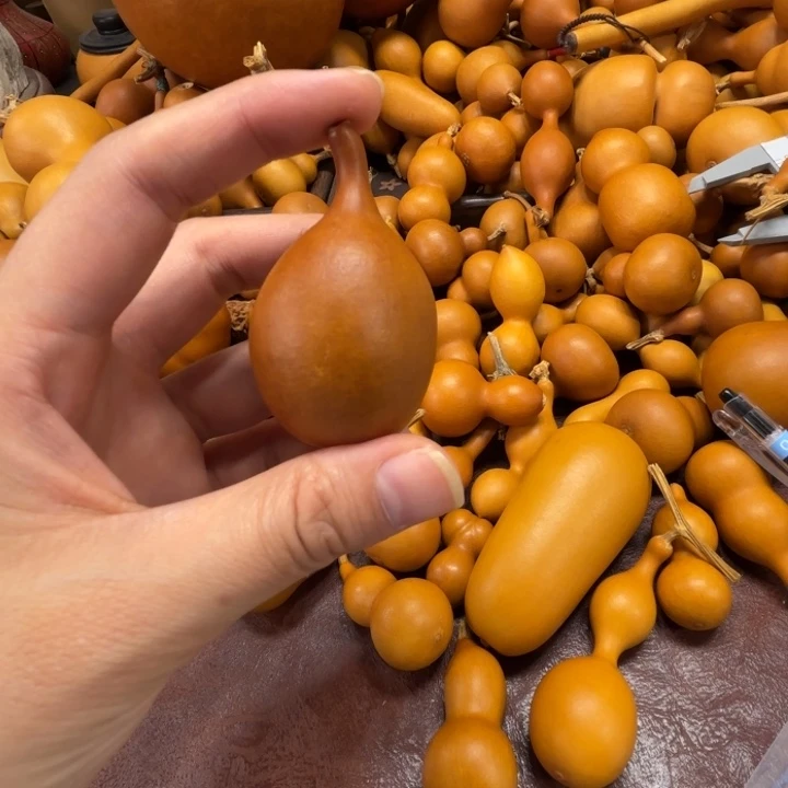嘎*嘎子的一把小瓶子葫芦
