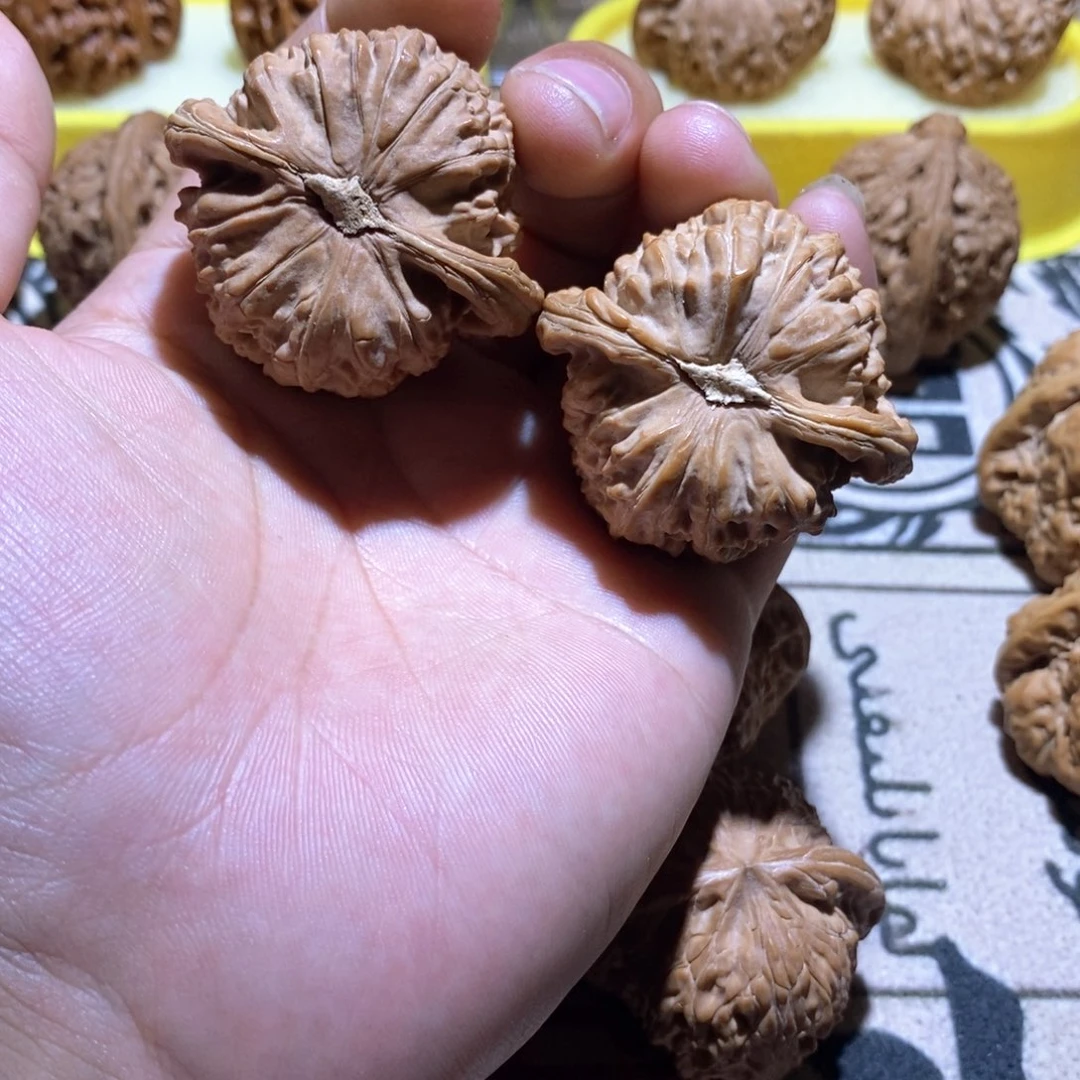 别**林文玩核桃手把件-44白狮子