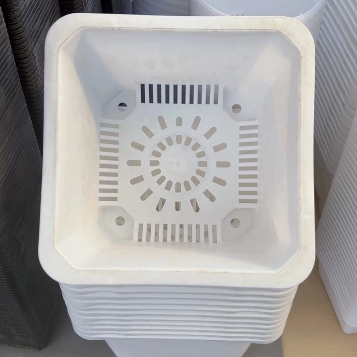 220白方口20高15一组7个