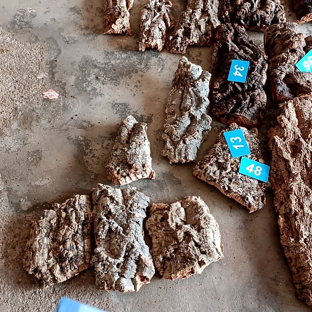 木一物一拍一物一发