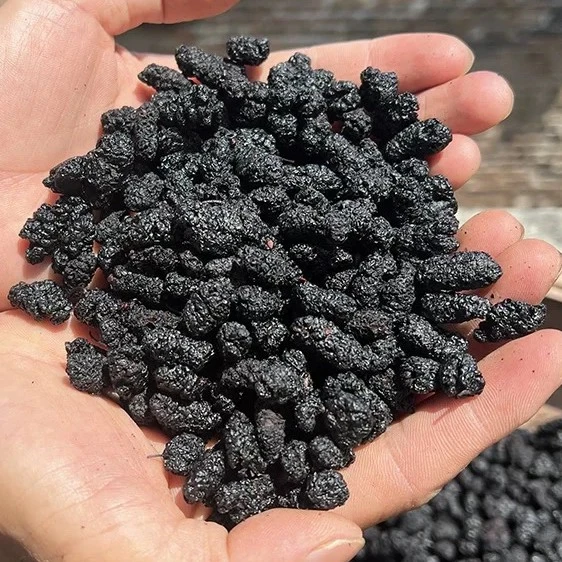 桑葚干 免洗无沙 泡水煮水