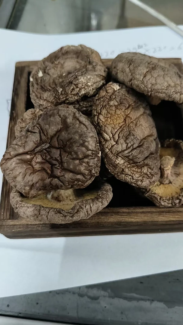 大朵香菇大号规格香菇干货
