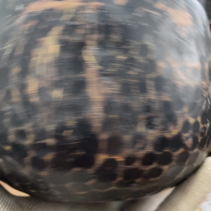 抱***拙工艺品哈哈哈哈哈哈哈哈哈