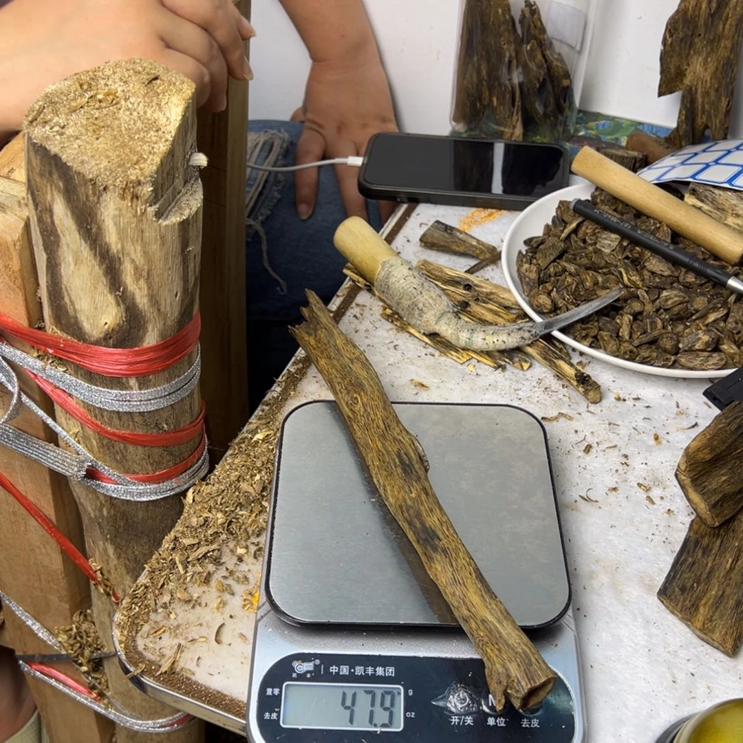 线香奇楠虫漏香47克